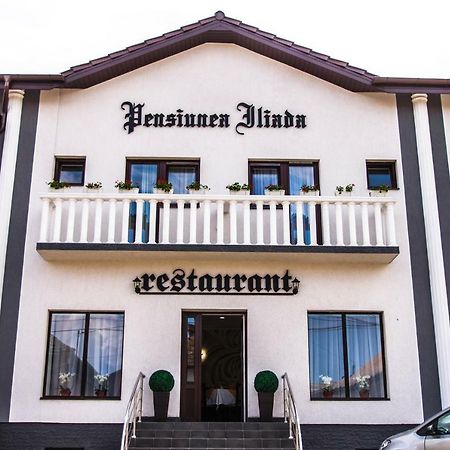 Pensiunea Iliada Sibiu Ngoại thất bức ảnh