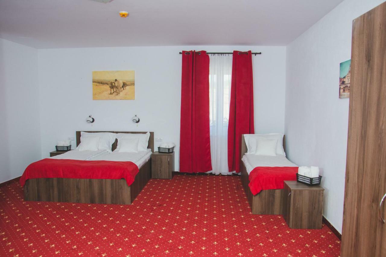 Pensiunea Iliada Sibiu Ngoại thất bức ảnh