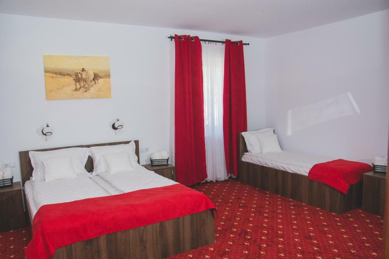 Pensiunea Iliada Sibiu Ngoại thất bức ảnh