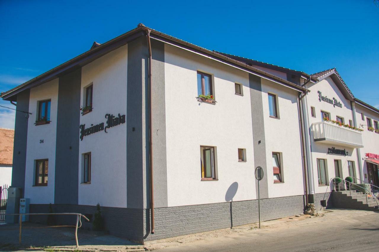 Pensiunea Iliada Sibiu Ngoại thất bức ảnh