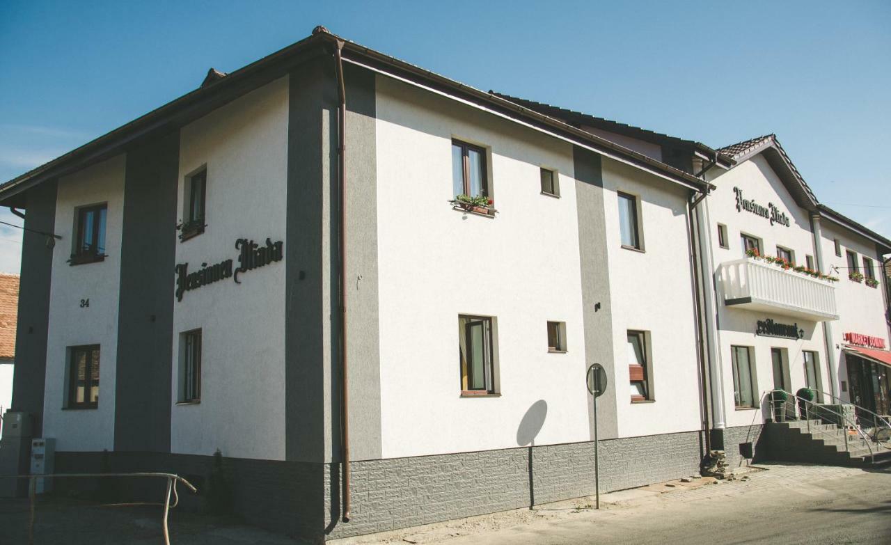 Pensiunea Iliada Sibiu Ngoại thất bức ảnh