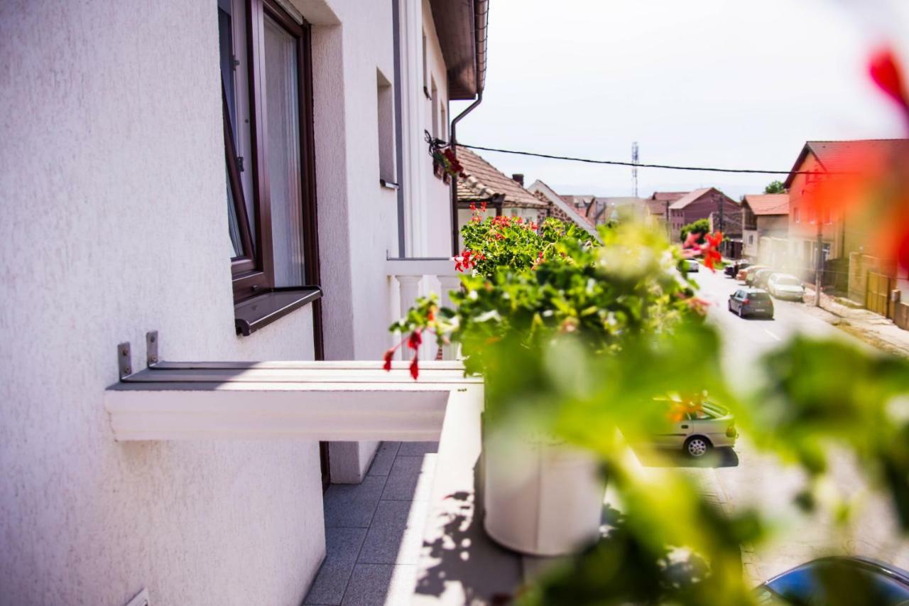 Pensiunea Iliada Sibiu Ngoại thất bức ảnh